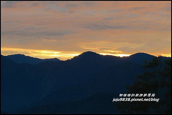 阿里山46.JPG 阿里山46.JPG