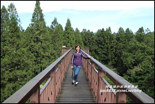 阿里山48.JPG 阿里山48.JPG