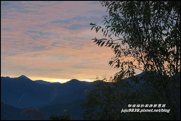 阿里山47.JPG 阿里山47.JPG