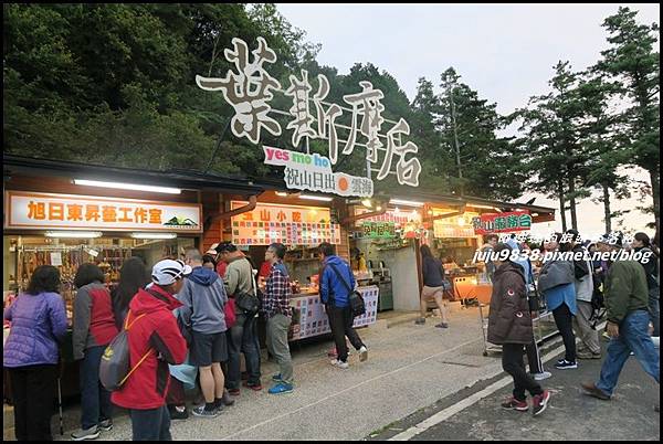 阿里山50.JPG 阿里山50.JPG