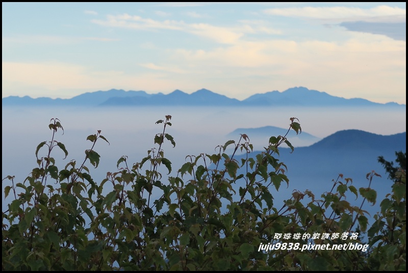 阿里山64.JPG