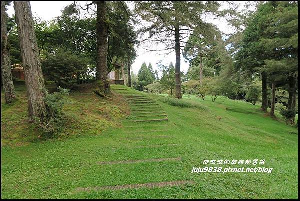 阿里山74.JPG