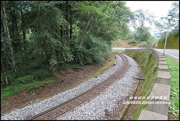 阿里山80.JPG 阿里山80.JPG