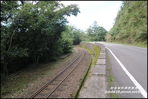 阿里山82.JPG 阿里山82.JPG