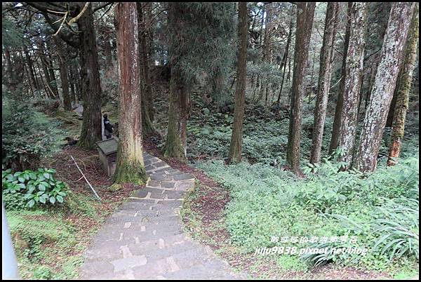 阿里山87.JPG 阿里山87.JPG