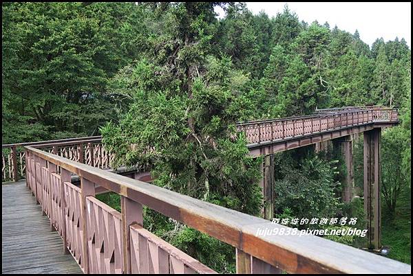 阿里山103.JPG 阿里山103.JPG
