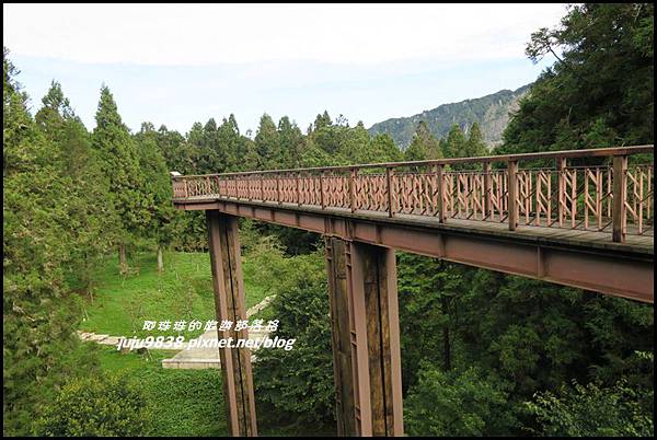 阿里山105.JPG 阿里山105.JPG
