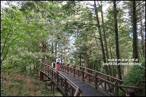 阿里山110.JPG 阿里山110.JPG