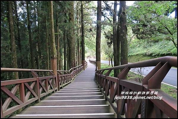 阿里山111.JPG 阿里山111.JPG