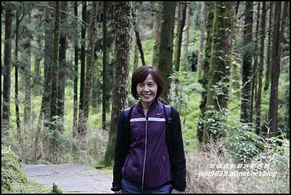 阿里山117.JPG 阿里山117.JPG