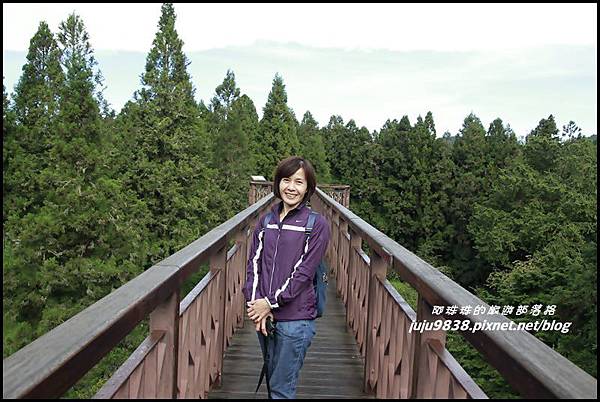 阿里山118.JPG 阿里山118.JPG