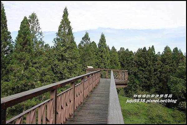 阿里山119.JPG 阿里山119.JPG