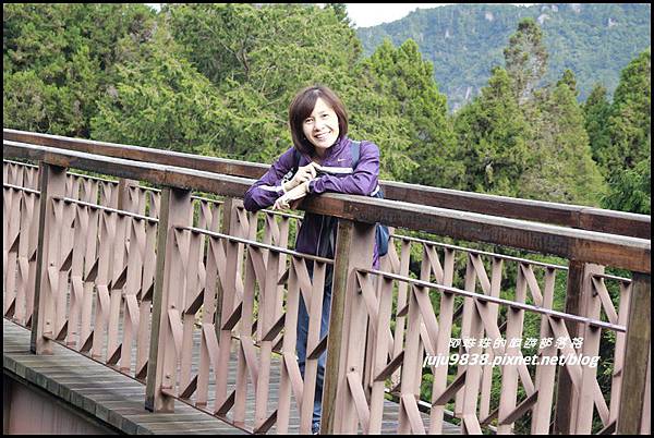 阿里山120.JPG 阿里山120.JPG