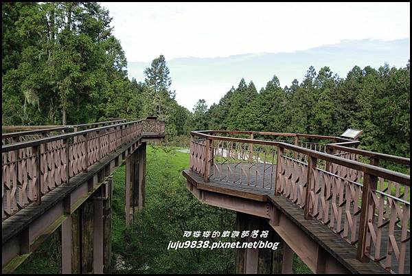 阿里山121.JPG 阿里山121.JPG