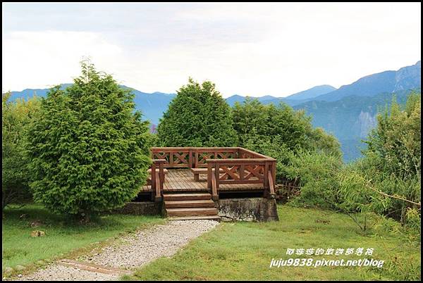 阿里山123.JPG 阿里山123.JPG