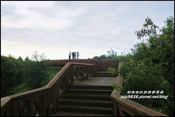 阿里山125.JPG