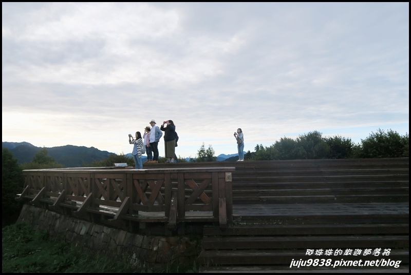 阿里山126.JPG