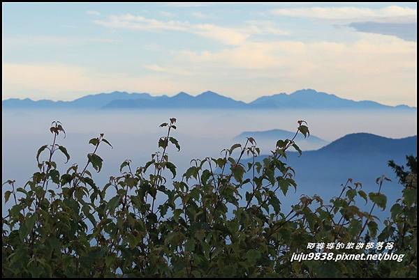 阿里山129.JPG