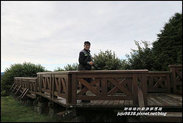 阿里山132.JPG 阿里山132.JPG