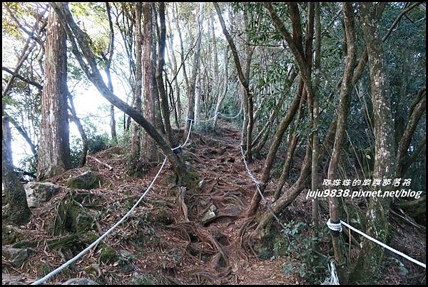 稍來7.JPG 稍來7.JPG