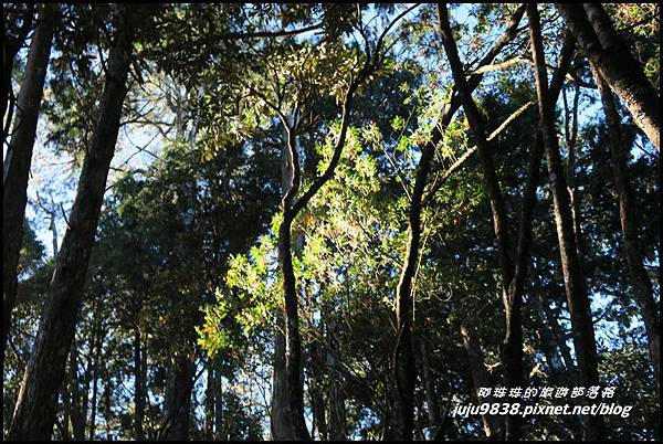 稍來9.JPG 稍來9.JPG