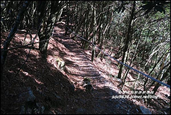 稍來12.JPG 稍來12.JPG