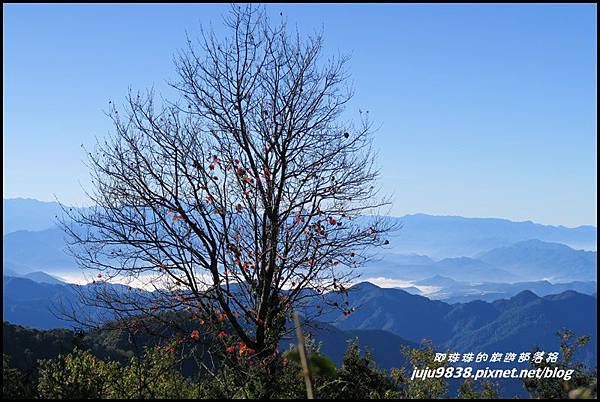 稍來15.JPG 稍來15.JPG