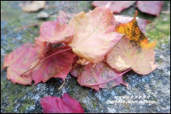 稍來17.JPG 稍來17.JPG