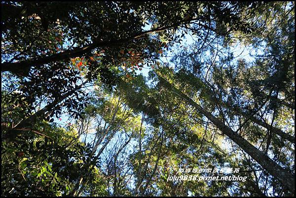 稍來18.JPG 稍來18.JPG