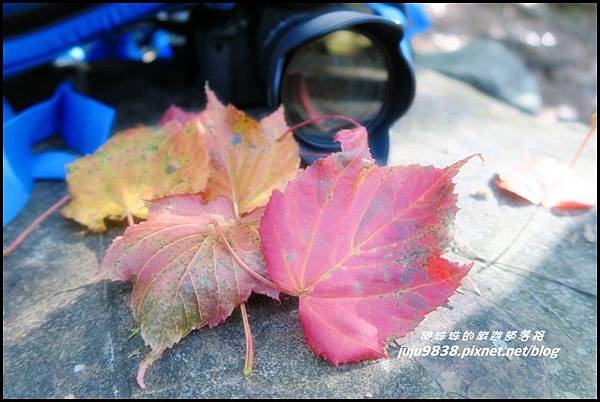 稍來20.JPG 稍來20.JPG