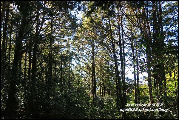 稍來21.JPG 稍來21.JPG