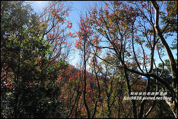 稍來29.JPG 稍來29.JPG