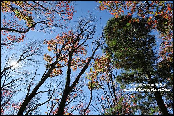 稍來30.JPG 稍來30.JPG