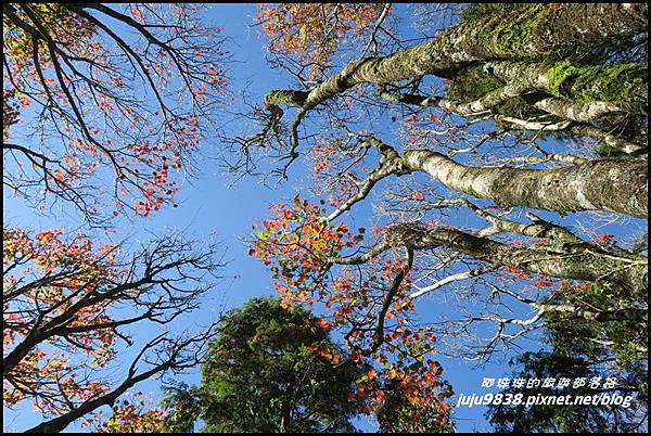 稍來31.JPG 稍來31.JPG