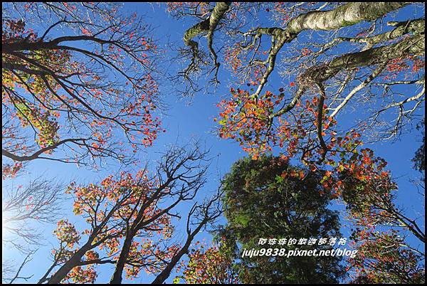 稍來32.JPG 稍來32.JPG