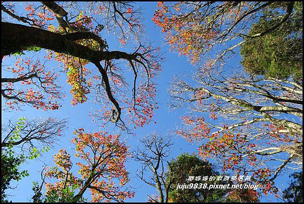 稍來34.JPG 稍來34.JPG