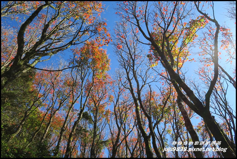 稍來33.JPG 稍來33.JPG