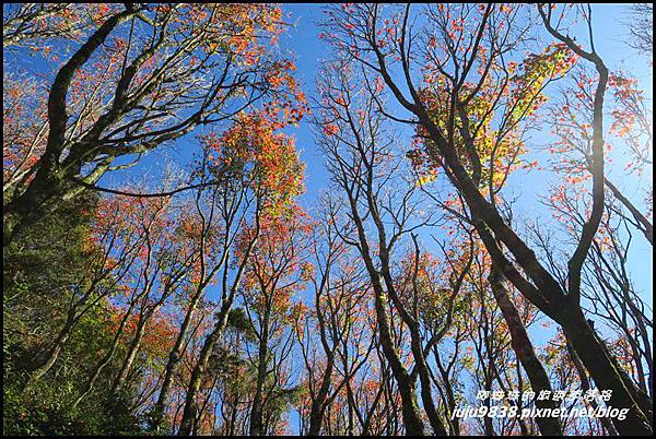 稍來33.JPG 稍來33.JPG