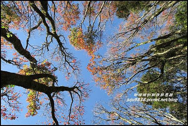 稍來35.JPG 稍來35.JPG