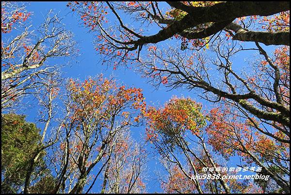 稍來36.JPG 稍來36.JPG