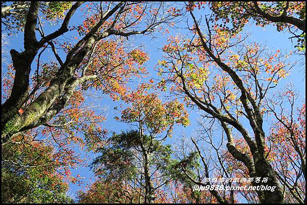 稍來37.JPG 稍來37.JPG