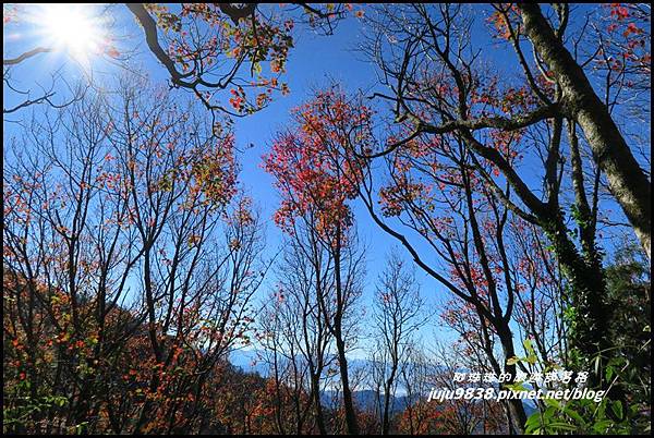 稍來38.JPG 稍來38.JPG