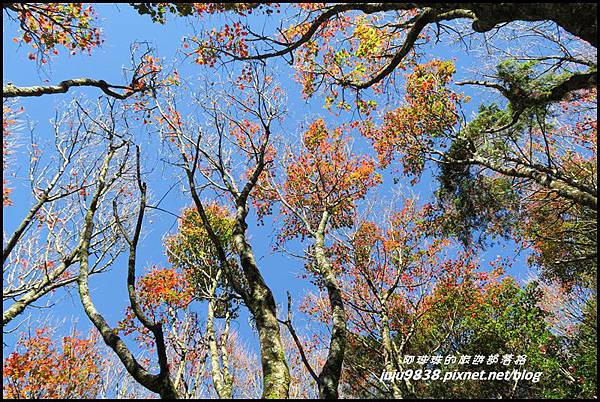 稍來39.JPG 稍來39.JPG