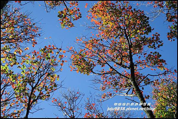 稍來40.JPG 稍來40.JPG