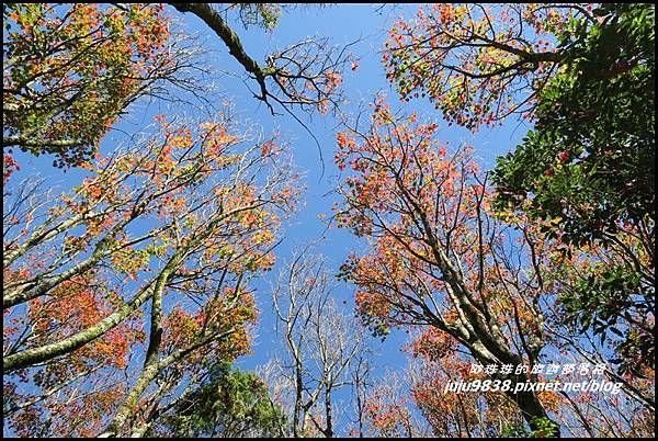 稍來43.JPG 稍來43.JPG