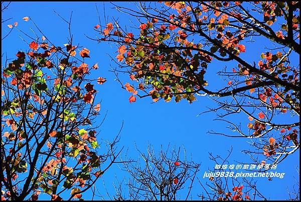 稍來45.JPG 稍來45.JPG