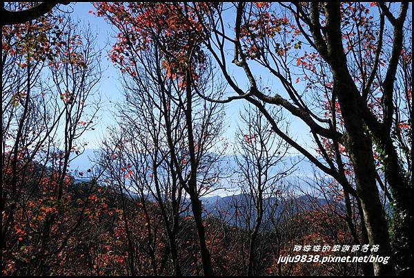 稍來47.JPG 稍來47.JPG