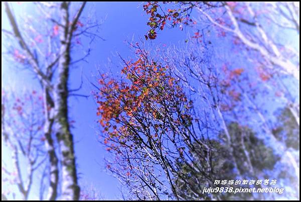 稍來48.JPG 稍來48.JPG