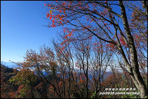 稍來50.JPG 稍來50.JPG