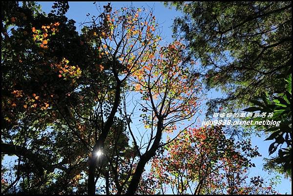 稍來57.JPG 稍來57.JPG